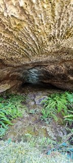 Grotta del Nano